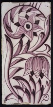 Rectangular edge tile in purple with sling of spotted tulip, flower with ten triangular petals, leaves, type of tulip fawn