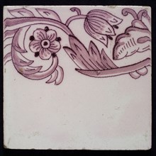 Border tile, purple on lilac fond with sling of tulip, flower with five oval petals, leaves, type of tulip fawn on whole, yellow
