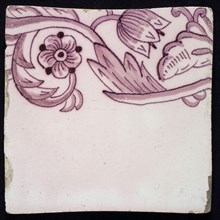 Border tile, purple on lilac fond with sling decor of tulip, flower with five oval petals, leaves, type of tulip fawn on whole
