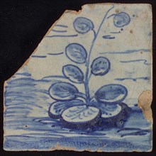 Tile with blue plant, tile pilaster footage fragment ceramic pottery glaze, d 1.4
