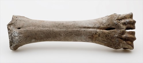 Bone, leg from the lower leg of cattle, glis? ice skates? skate? bone soil finding leg, bone bone. Probably from pig