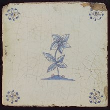 White tile with blue five-leaved flower, corner motif spider, wall tile tile sculpture ceramic earthenware glaze, baked 2x