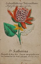 Print with flower, stuck on the card, hidden under the loose part of the flower an image of Saint Catherine, church print