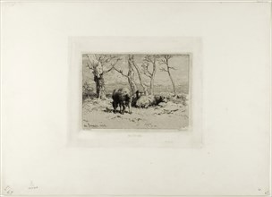 Sheep, 1868, Charles Émile Jacque, French, 1813-1894, France, Etching and drypoint on ivory wove