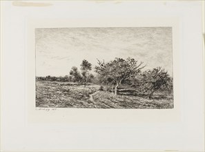 Apple Trees at Auvers, 1877, Charles François Daubigny, French, 1817-1878, France, Etching on chine
