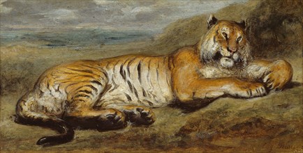 Tiger Resting, c. 1830, Pierre Andrieu, French, 1821-1892, France, Oil on canvas, 20.3 × 38.1 cm (8