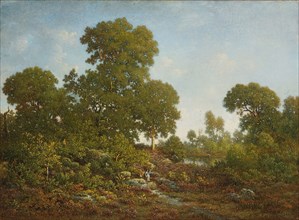 Springtime, c. 1860, Théodore Rousseau, French, 1812-1867, France, Oil on panel, 42.2 × 54 cm (15