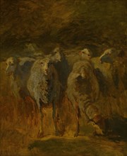 Unfinished Study of Sheep, c. 1850, Constant Troyon, French, 1810-1865, France, Oil on canvas, 45.8