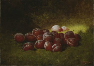 Purple Plums, 1895, Cadurcis Plantagenet Ream, American, 1838–1917, United States, Oil on canvas,