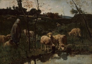 Landscape with Sheep, Picardy, late 19th century, Harry Thompson, British, died 1901, England, Oil
