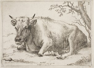 Cow Lying Down Beside a Tree, n.d., Paulus Potter, Dutch, 1625-1654, Holland, Etching on ivory laid