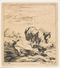 The Two Horses, 1850, Charles Meryon (French, 1821-1868), after Karel Dujardin (Dutch, c