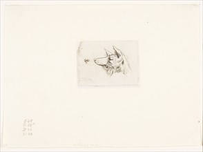 Head of a New Holland Dog, 1860, Charles Meryon, French, 1821-1868, France, Etching with engraving