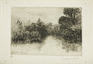 Shere Mill Pond, No. I (small plate), 1860, Francis Seymour Haden, English, 1818-1910, England,