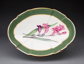 Dish, 1794, Davenport Pottery and Porcelain Factories, English, c.1793-1887, Longport, Soft-paste