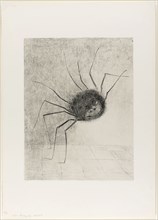 Spider, 1887, Odilon Redon, French, 1840-1916, France, Lithograph in black on light gray China