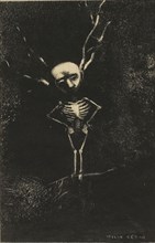 In the Maze of Branches, the Pale Figure Appeared, plate 2 of 7, 1887, Odilon Redon, French,