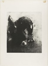 Captive Pegasus, 1889, Odilon Redon, French, 1840-1916, France, Transfer lithograph on mounted