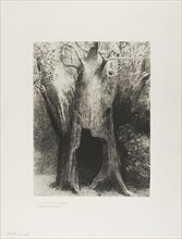 I Plunged into Solitude. I Dwelt in the Tree behind Me, plate 9 of 24, 1896, Odilon Redon, French,