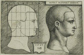 Profile Study of Man’s Head, 1542, Sebald Beham, German, 1500-1550, Germany, Engraving in black on