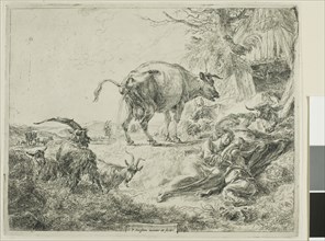 Cow Relieving Itself, 1635/1683, Nicolaes Berchem the Elder, Dutch, 1621/22-1683, Holland, Etching