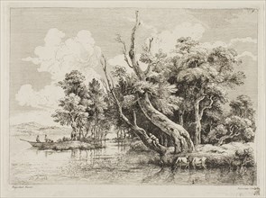 Clump of Trees near the Water, 1763, Jean Jacques de Boissieu (French, 1736-1810), after Jacob van