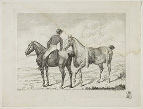 Riding School and Horses, 1806, Johann Adolph Darnstedt, German, 1769-1844, Germany, Etching on