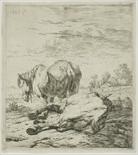 Two Horses, 1652–60, Karel Dujardin, Dutch, c. 1622-1678, Holland, Etching on paper, 150 x 136 mm