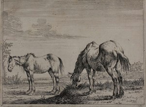 Grazing Horse, plate three from Series of Horses, 1651, Dirck Stoop, Dutch, 1610-1686, Netherlands,