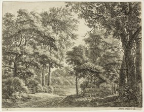 The Parts of the Wood Newly Cut, n.d., Anthoni Waterlo, Dutch, 1609-1690, Holland, Etching on