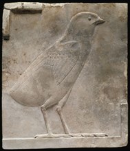 Plaque Depicting a Quail Chick, Ptolemaic Period (332–30 BC), Egyptian, Egypt, Limestone, 12 × 13.2