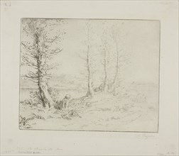 Along the Riverbank, c. 1885, Alphonse Legros, French, 1837-1911, France, Etching and drypoint on