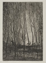 Stags in the Woods, 1850, Charles François Daubigny, French, 1817-1878, France, Etching on light
