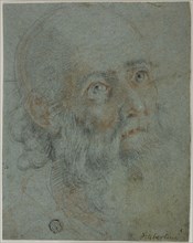 Head of a Bearded Man, Looking Up to Right: Study for Saint Catherine of Alexandria Disputing with