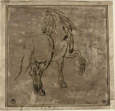 Horse, Seen Three-Quarters From the Rear, 1615/17, Jacques Callot, French, 1592-1635, France, Pen