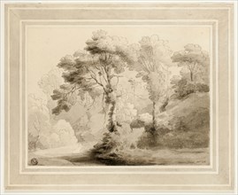 Wooded Landscape, 1774, Francis Towne, English, 1739/40-1816, England, Pen and black ink, with