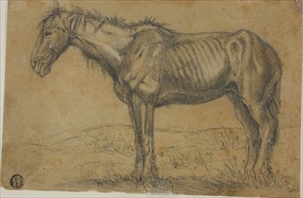 Emaciated Horse (recto), Frontal View of a Horse (verso), n.d., Charles Émile Jacque, French,