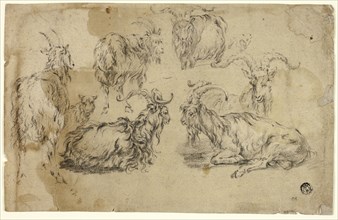 Sketches of Goats, n.d., Johann Gottlieb Hackert, German, 1744-1773, Germany, Charcoal on buff laid