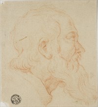 Head of Old Man in Profile to Right, n.d., Possibly Follower of Simone Cantarini (Italian,