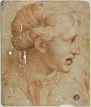 Female Head in Profile, Facing Right, early 18th century, After Workshop of Raffaello Sanzio,
