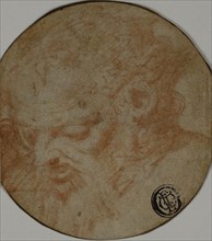 After the Antique (?): Head of a Satyr, n.d., Unknown Artist, Italian, 1500-1599, Italy, Red chalk,