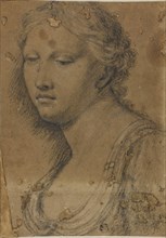 Bust of Woman, n.d., Attributed to Girolamo Sellari, called Girolamo da Carpi, Italian, 1501-1556,