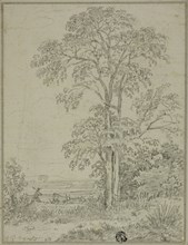 Landscape with Tree, Man, and Cows, August 7, 1765, Attributed to Sir George Howland Beaumont,