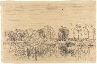 Marsh and Screen of Trees, n.d., Charles François Daubigny, French, 1817-1878, France, Black chalk