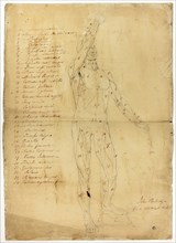 Male Ecorché, c. 1810, John Partridge, English, born Scotland, 1790-1872, England, Black chalk,