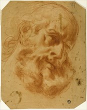 Bearded Head, n.d., Unknown Artist, Italian, 17th century, Italy, Red chalk, with stumping,