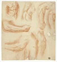 Sketches of Arms, Male Torso, and Back, n.d., Italian, Late 16th Century, Italy, Red chalk on cream