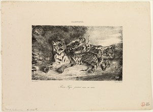 Young Tiger Playing with Its Mother, 1831, Eugène Delacroix (French, 1798-1863), printed by