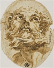 Bearded Head, n.d., Attributed to the circle of Domenichino (Italian, 1581-1641), or Gian Lorenzo