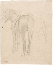 Studies of a Horse, 1868/75, Edgar Degas, French, 1834-1917, France, Graphite with stumping on tan